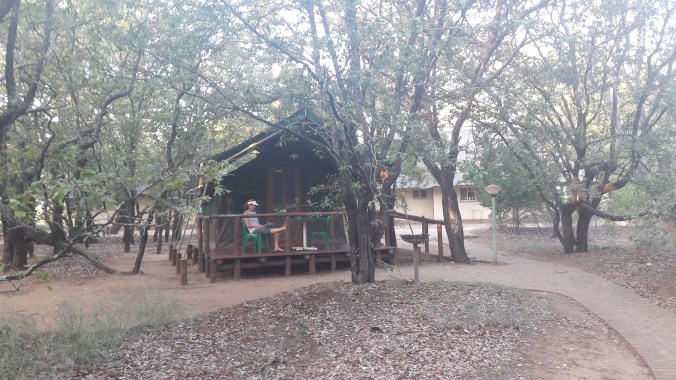 Luxury tent with verandah at Letabah