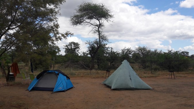 The hyena was just the other side of the fence