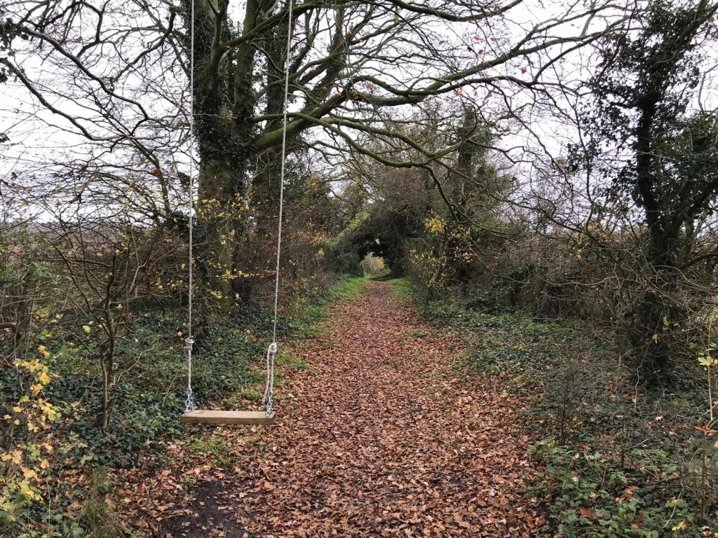 swing hanging from tree