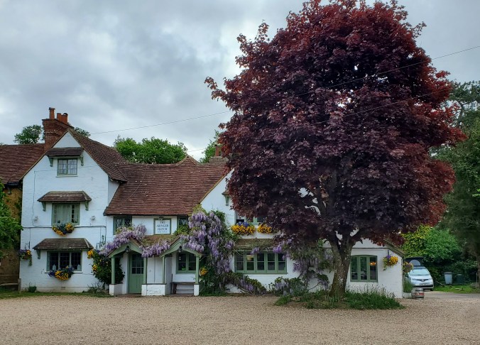 A traditional Surrey pub with purple wisteria climbing over the front and yellow flowers in the window boxes and a large red-leaved tree in front. To the right you can just see a silver campervan parked to the side of the building.